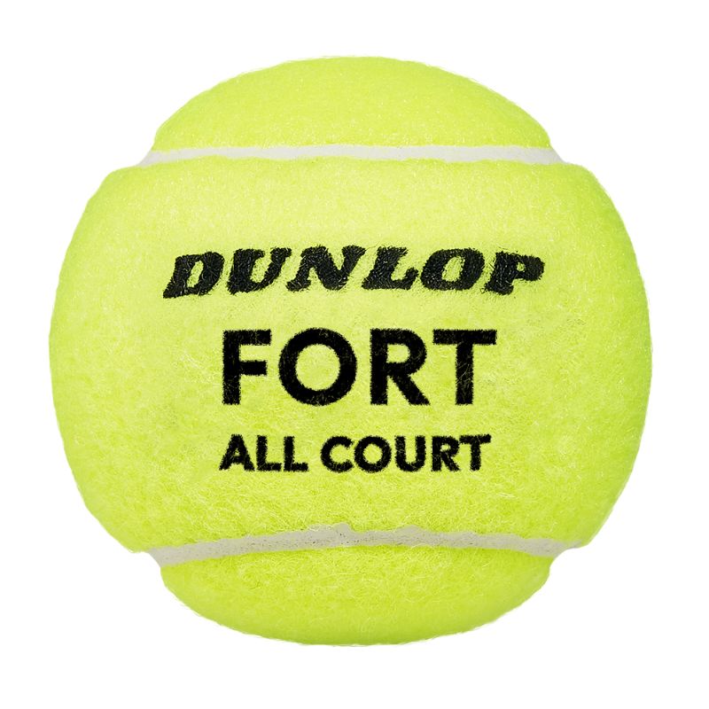 Dunlop Fort All Court Ball.jpg