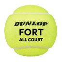Dunlop Fort All Court Ball.jpg