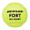 Dunlop Fort All Court Ball.webp