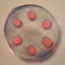 Toalson Tennissaite Rencon monofil 1,30mm Tennissaiten-Querschnitt - Tennis String Cross Section.jpg