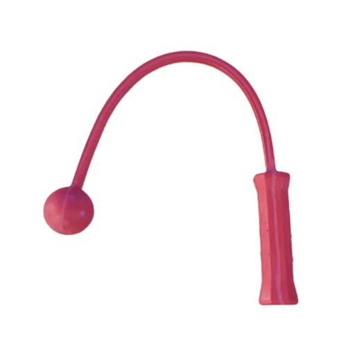 ServeMaster 1 Ball Tennis Training