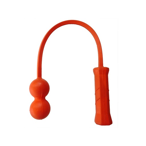 ServeMaster 2 Ball Tennis Training